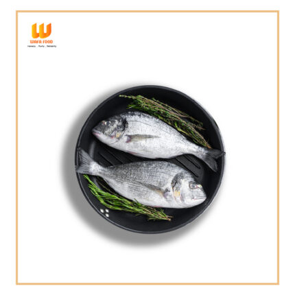 Datina Fish(দাঁতিনা মাছ)