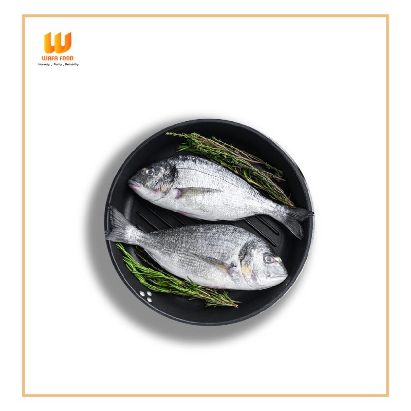 Datina Fish(দাঁতিনা মাছ)