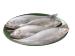 Deshi Foli Fish Whole (দেশী ফলি মাছ আস্ত)
