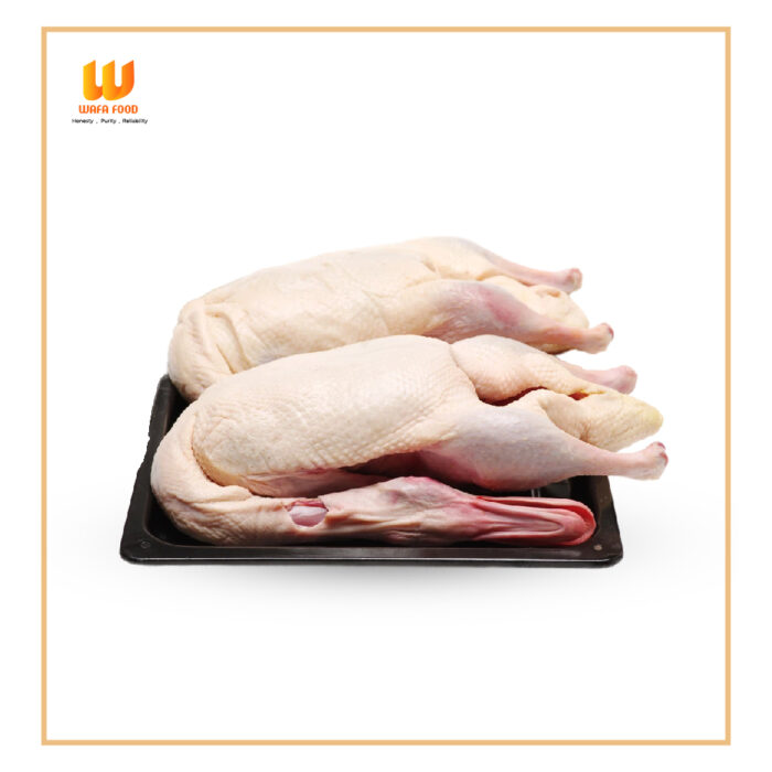 Deshi Swan Duck (দেশী রাজ হাঁস)