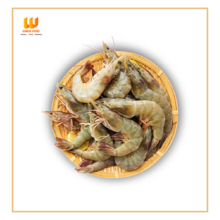 Horina Shrimp