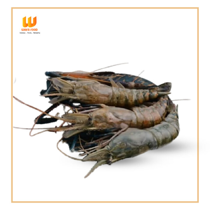 Bagda Chingri(বাগদা চিংড়ি)