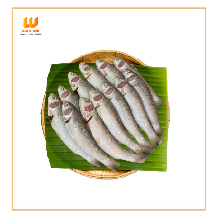 Parshe Fish(পার্শে মাছ)