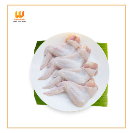 Chicken Wings (চিকেন উইংস)