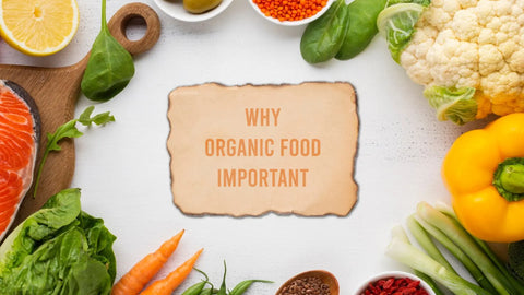 Why Organic Food Important